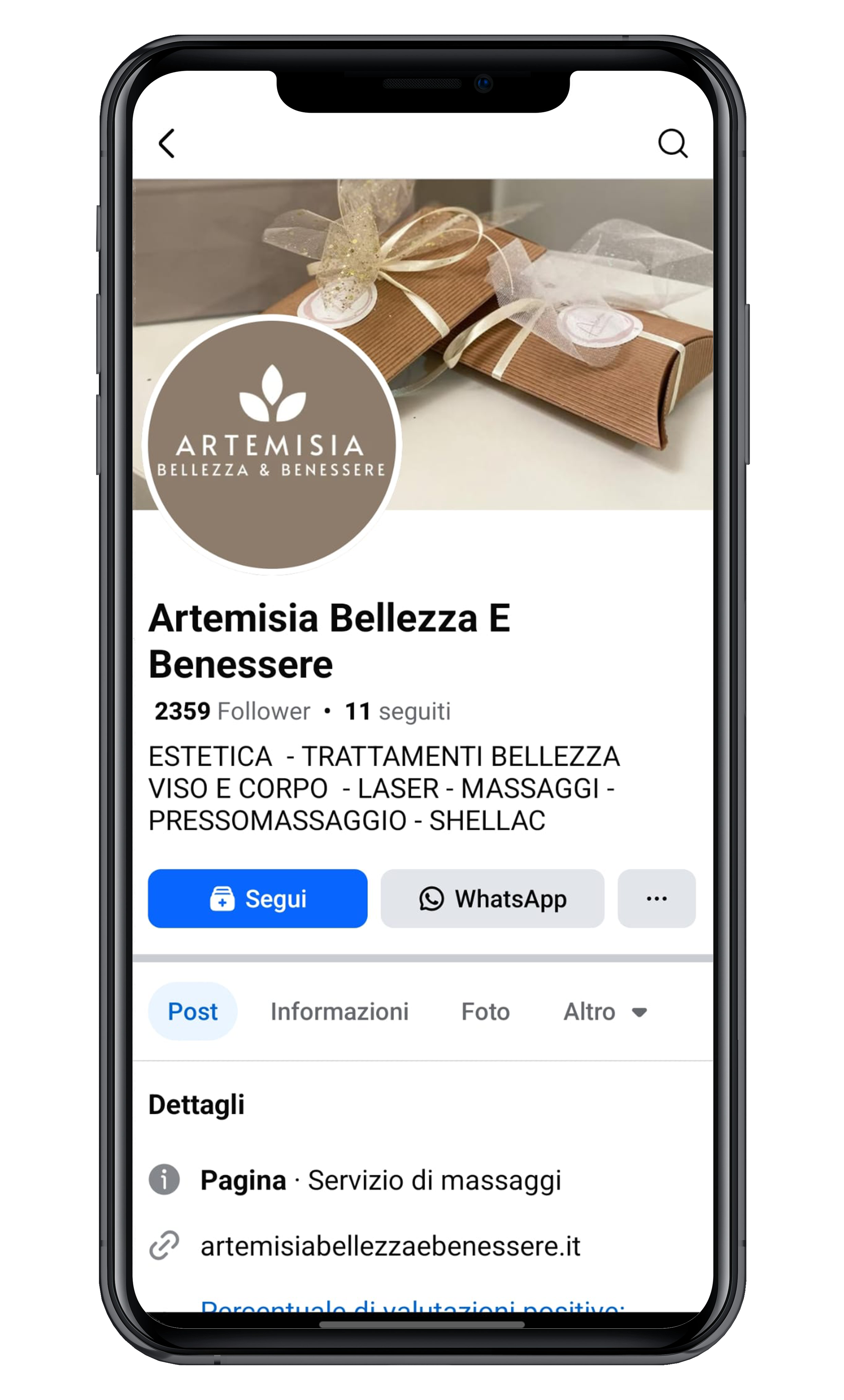 ArtemisiaFB